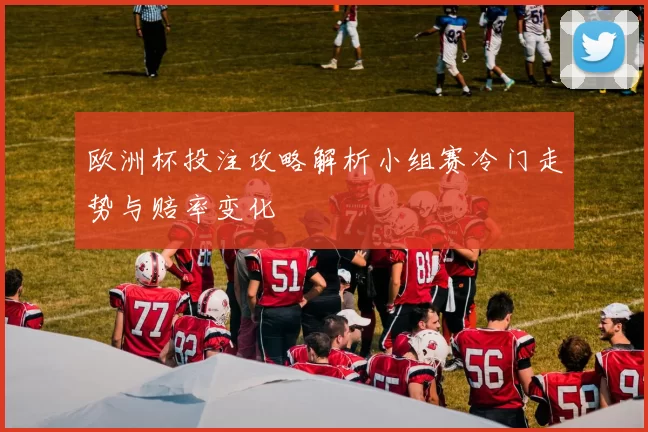 欧洲杯投注攻略解析小组赛冷门走势与赔率变化